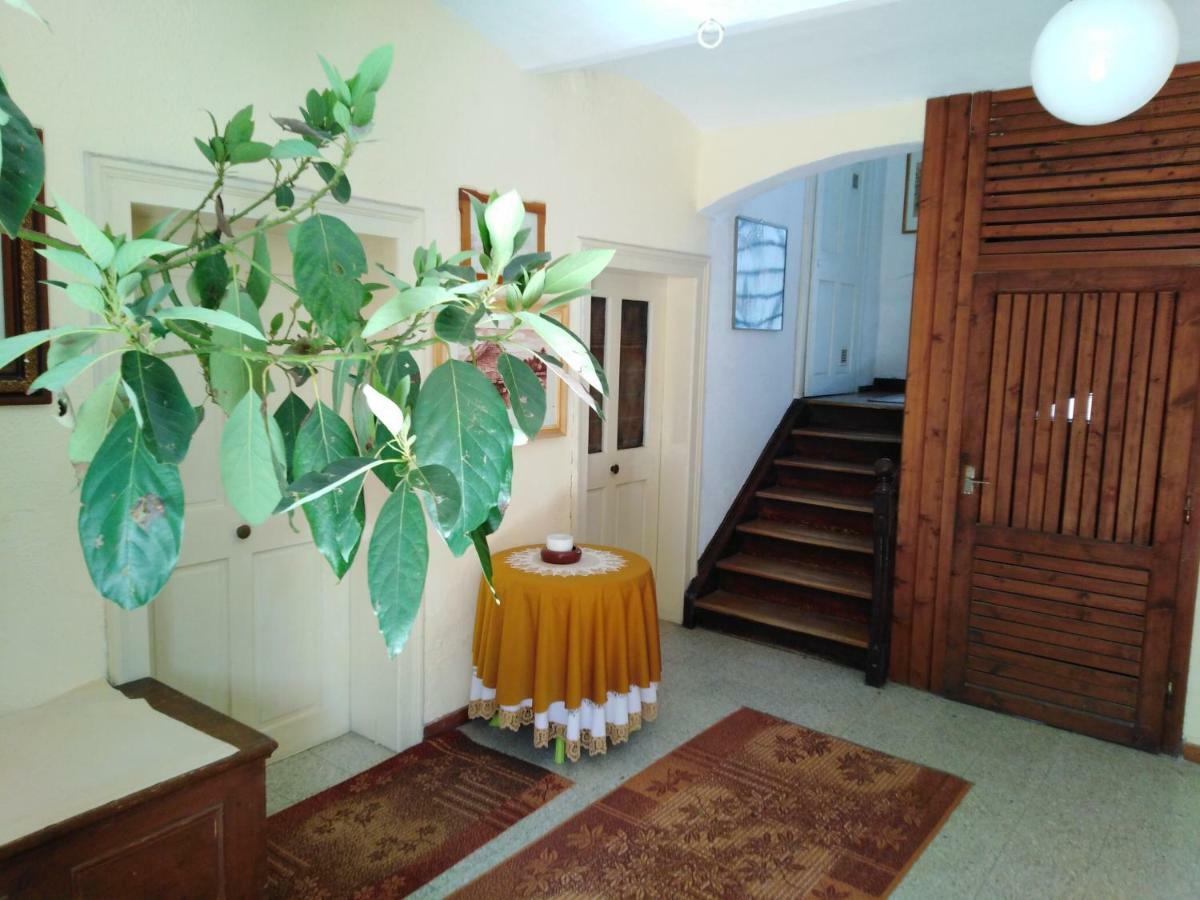 Apartments Banko بليد المظهر الخارجي الصورة